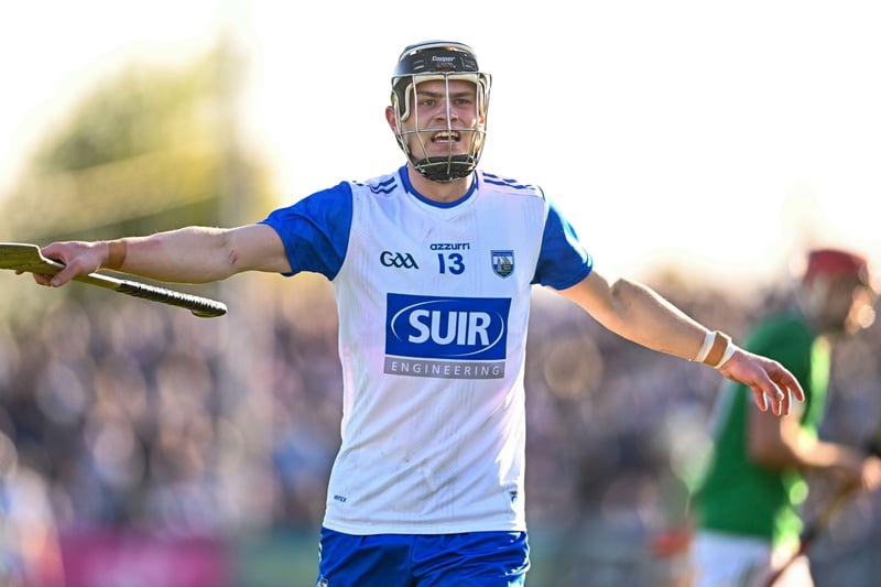 PICTURES: Waterford hurlers lose out to impressive Limerick at packed ...