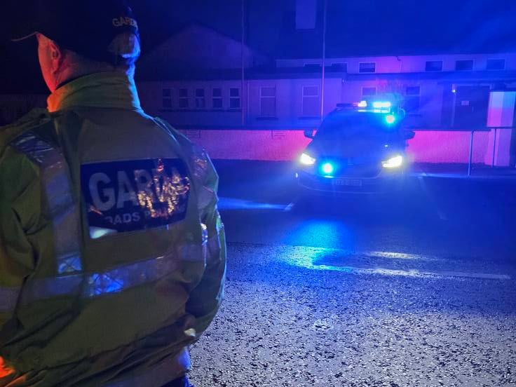 PHOTOS: Kildare Gardaí make shocking find after stopping motorist