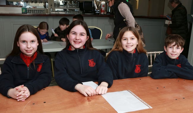 The team for Shanahoe N.S. team.