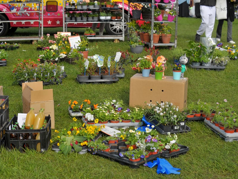 Fresh flowers for sale.