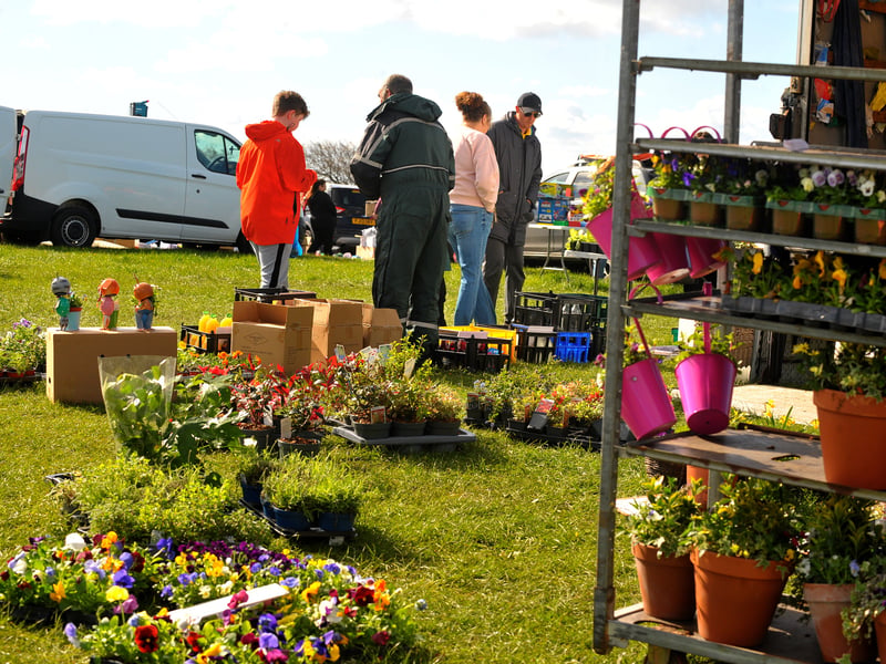 Plenty of fresh flowers at the Leeds & Bradford Airport Car Boot Sale.