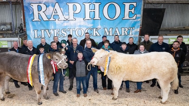 In pictures: Raphoe Livestock Mart Annual Fatstock show and sale