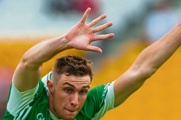 PICTURES: Introducing our 2024 Offaly Senior Football Championship team ...
