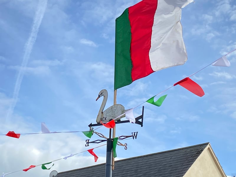 Rathdowney and Errill have been decked out with flags, window displays and bunting ahead of the Laois senior hurling final against Clough/Ballacolla.  Local businesses and homes have come out in force to show their support.