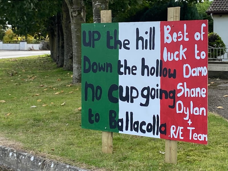Rathdowney and Errill have been decked out with flags, window displays and bunting ahead of the Laois senior hurling final against Clough/Ballacolla. Local businesses and homes have come out in force to show their support.