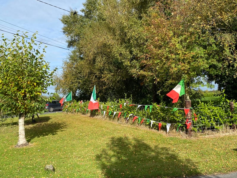 Rathdowney and Errill have been decked out with flags, window displays and bunting ahead of the Laois senior hurling final against Clough/Ballacolla. Local businesses and homes have come out in force to show their support.