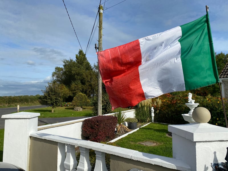 Rathdowney and Errill have been decked out with flags, window displays and bunting ahead of the Laois senior hurling final against Clough/Ballacolla.  Local businesses and homes have come out in force to show their support.