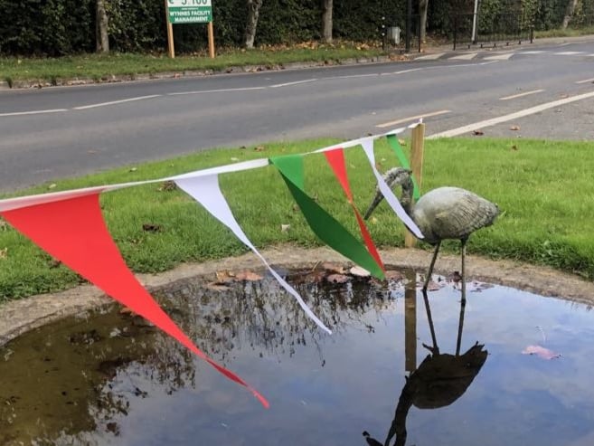 Rathdowney and Errill have been decked out with flags, window displays and bunting ahead of the Laois senior hurling final against Clough/Ballacolla. Local businesses and homes have come out in force to show their support.