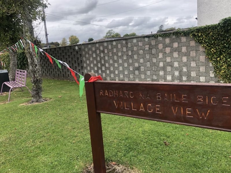 Rathdowney and Errill have been decked out with flags, window displays and bunting ahead of the Laois senior hurling final against Clough/Ballacolla.  Local businesses and homes have come out in force to show their support.