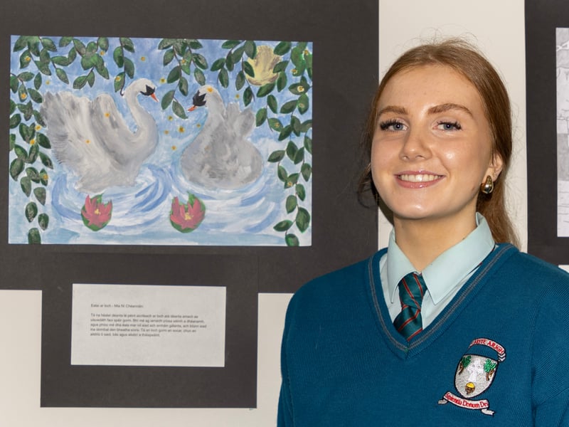 Click on the arrows to go through the photos by Joe Boland of North West Newspix
