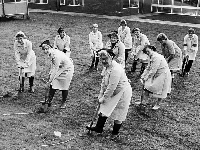 Dinner ladies at William Reynolds Junior School in Woodside, Telford, are pictured in February 1983 taking part in a tree-planting campaign. Dressed in aprons and Wellington boots, they lined up saplings ready to be planted in support of the initiative.