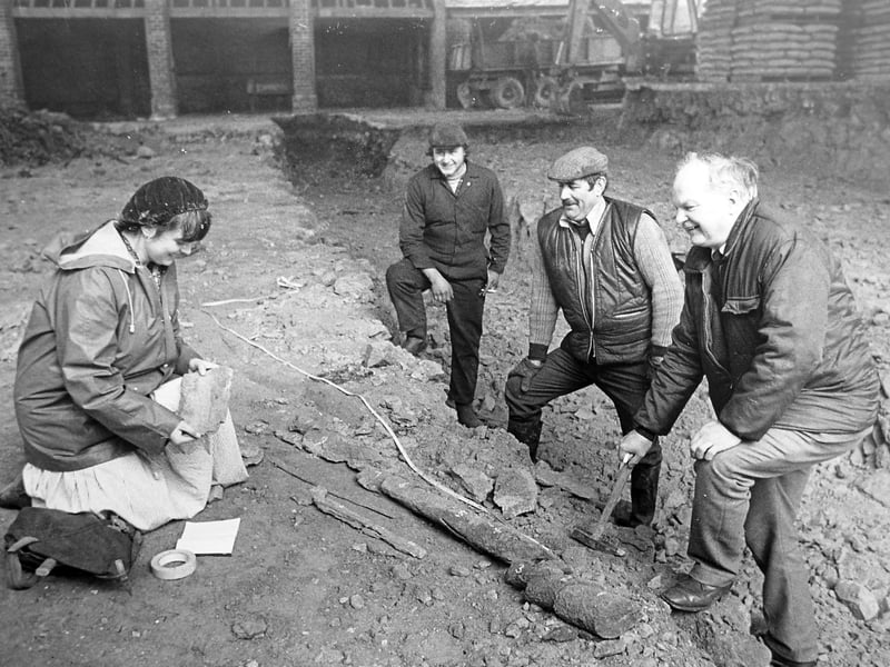 A remarkable fossil discovery at Barrow near Much Wenlock in February 1983, where excavation work for farm buildings uncovered the 16.5ft fossilised root of a 300-million-year-old Lepidodendron tree. The find was made at Lord Forester’s estate when a JCB operator noticed the unusual object and alerted Much Wenlock Museum curator Miss Yvette Staelens, who confirmed its national significance. She is pictured with John Norton and the farmworkers involved in the discovery, Roger Plant and John Hailey.