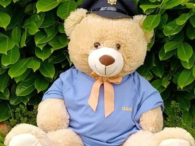 Teddy