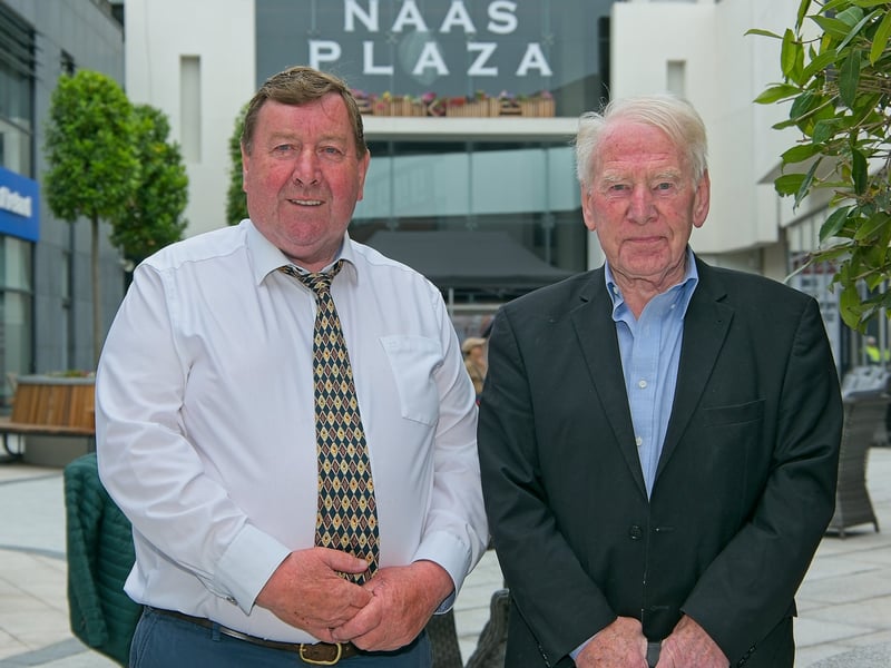 PICTURES: Opening of the new Naas Plaza area in Naas town