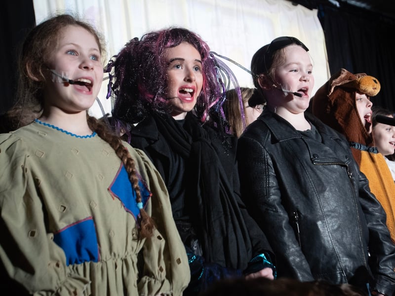 IN PICTURES: Steelstown PS Primary 7s annual show 'Cinderella Rockerfella'