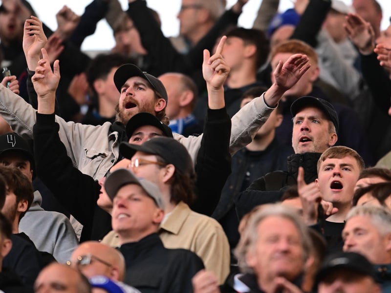 Trying their best to rally the Blues