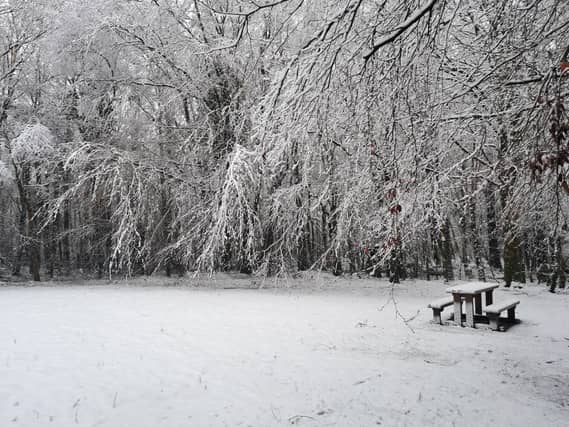 Ireland woke up to a picturesque winter wonderland this morning as a blanket of snow covered the landscapes. Here are the top 5 snow pictures that stood out: Castlebar: (X/@NarcoDreamer)