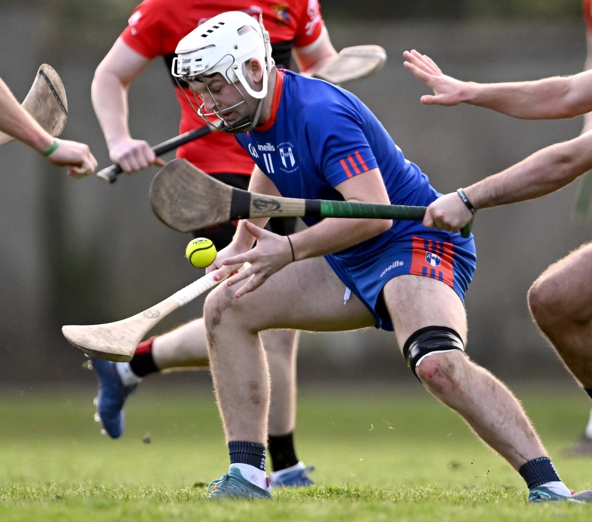 ROUND-UP: Plenty of Tipperary hurlers progress to Fitzgibbon Cup last eight