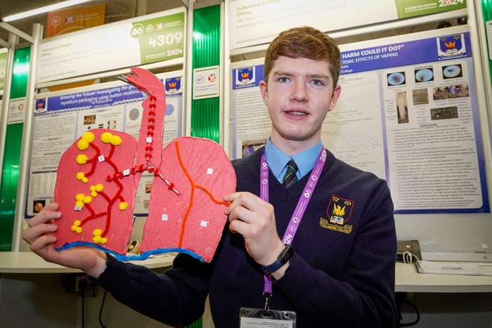 IN PICTURES: Offaly students among the winners at BT Young Scientist ...