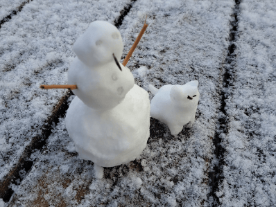Mini snowman and cat in Mayo - Phot Credit @MayoCollegeFET via X   