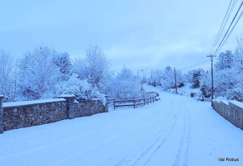 Down the lane in Coolaney, Sligo - Photo Credit @magnumlady   