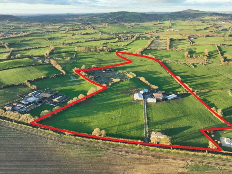 2. Residence and Farmyard on c. 38 Acres, Maplestown, Rathvilly, Co. Carlow €890,000 4 Bed & 2 Bath 161 m² Bungalow