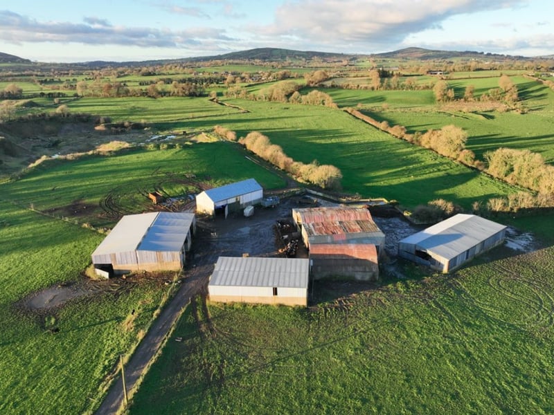 2. Residence and Farmyard on c. 38 Acres, Maplestown, Rathvilly, Co. Carlow €890,000 4 Bed & 2 Bath 161 m² Bungalow