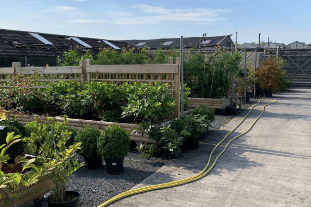 If you are tired of gift shops, this is your sanctuary. Di Wilson says: "If you want fabulous plants and not a cafe and gift shop, it has to be Riverside at Scarcroft!" Nadine Booker simply called it her top pick for the area. 🪴 Brandon Ln, Leeds LS17 9JH