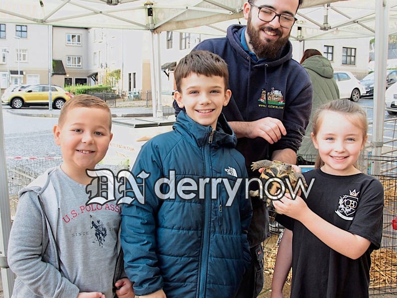Charlie Mark, Seán and Éadoinn at the Petting Farm giving tickles to the tortoise.