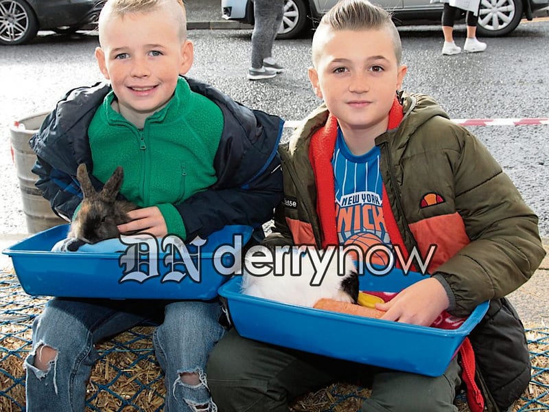 Noah and Logan Donaghey at the Petting Farm.