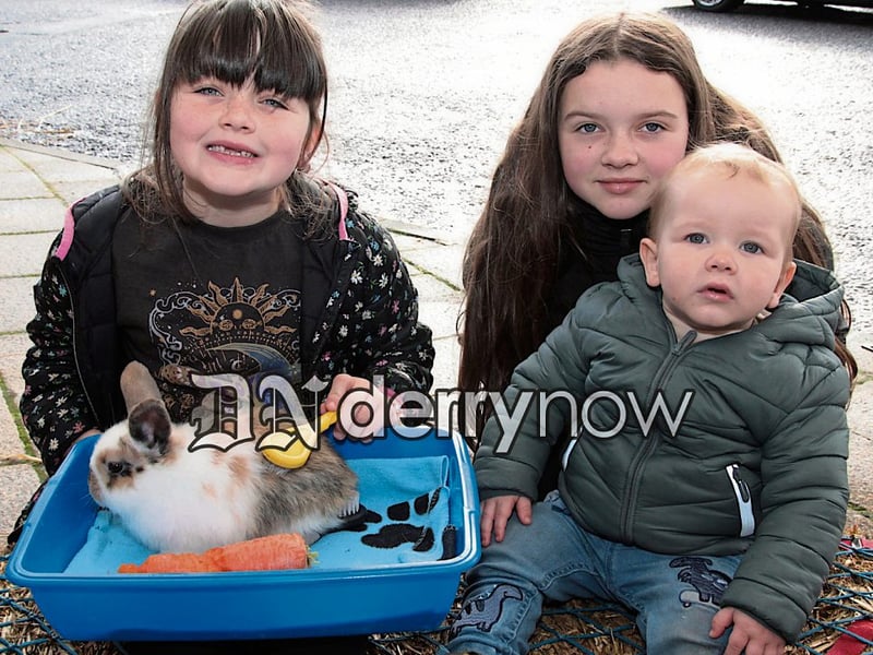 Cara, Amelia and Cillian Bonner with the rabbit at Derry Credit Union Family Fun Day.