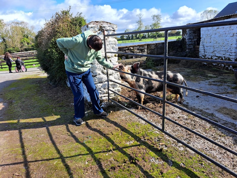 Key to the development of Social Farming has been ongoing support and funding from the Department of Agriculture, Food and the Marine which has enabled the development of the Social Farming Network, Social Farming Ireland. The Galways’ beautiful, organic farm certainly provides a haven and a hub, a busy family farm with a great variety of activities and animals. On the day, Gillian McCarthy the Social Farming Regional Development Officer with Waterford Leader Partnership welcomed everyone and explained what Social Farming is about. Richard Galway spoke about his positive experience of Social Farming, including his connections with Camphill and how his family are also becoming involved in the Social Farming experience. George Dewberry, a social farmer from Callan, told the crowd how all his senses are awakened when out in nature and he can see social farming being of immense benefit to those who avail of it.
