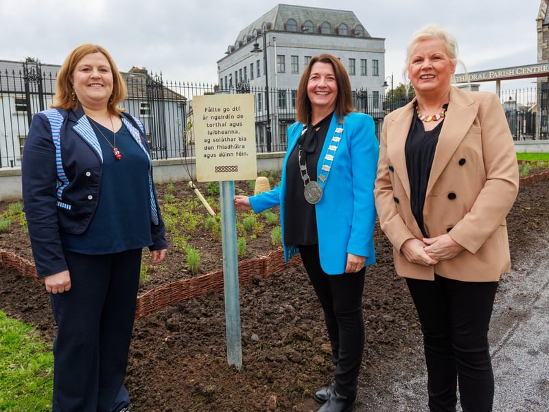 Cathaoirleach unveils Failte message at Carlow College's new Edible Pollinator Patch