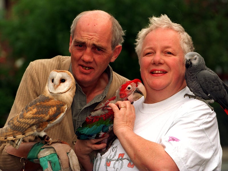 William Roe with 'Barny' the Barn Owl, while Avril Barton is pictured with African Gray parrot 'Dugley' and 'Pea Pod' a Black Headed Caique.