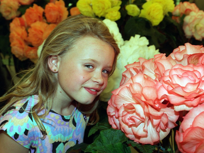 Nine-year-old Kay Woolhouse from Farsley among the begonias at Leeds Show.