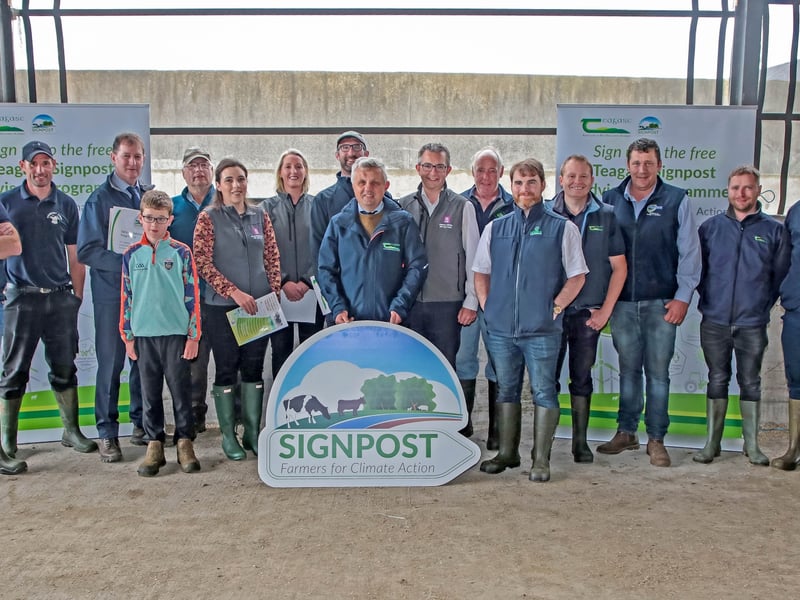 PICTURES | A day for the ages in Killoe - no show like a top class Longford Agricultural Show PICTURES | Super Show - Longford Agricultural Show surpasses all expectations PICTURES | Longford's fourth Little Heroes Charity Bike Run raises funds for Ballinamuck NS sensory garden Caption: A group of attendees at the farm of Signpost farmer Patrick O’Neill, Mostrim, Co Longford on Tuesday, June 27 for the launch of the Signpost Advisory Programme in the Teagasc Advisory Region, Roscommon/Longford Pictures: Shelley Corcoran
