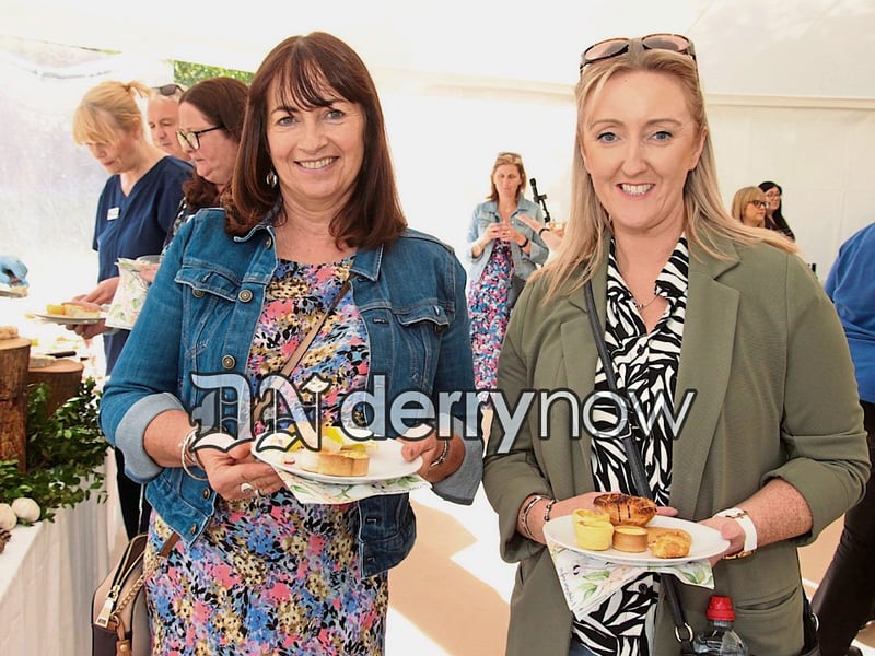 Teresa Gill and Laura Costello, volunteers.