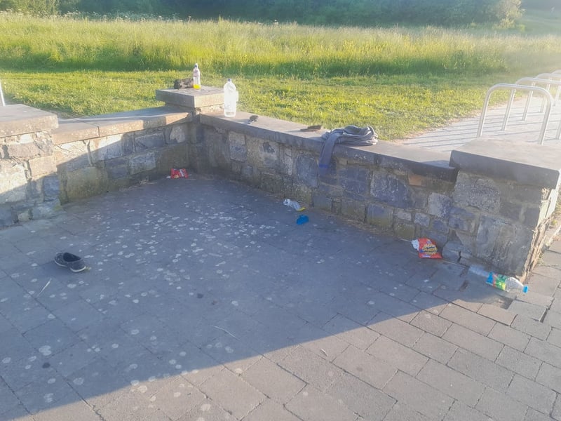 "We are grateful to the Kilkenny City Area team who have promptly cleaned and addressed this issue. We sincerely hope that we won't witness any further incidents like this. We invite you to come and visit these spaces, taking the opportunity to enjoy them. We kindly request that you take your litter home with you when you're finished."