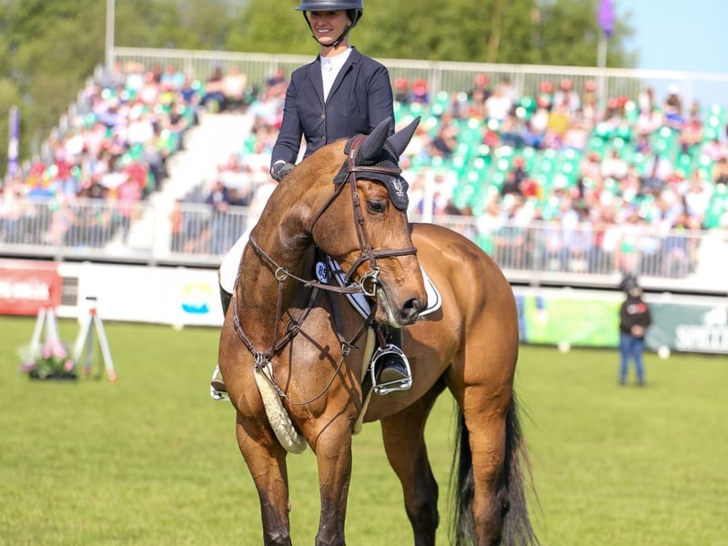 Three Kilkenny riders placed top of the leader board at Balmoral's ...