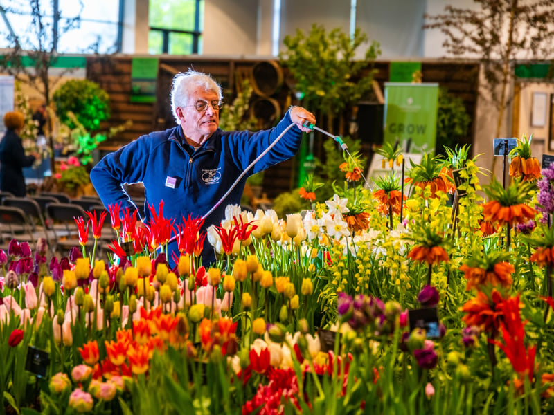 Gordon Charlton, watering the plants on a display by Jacques Amad.