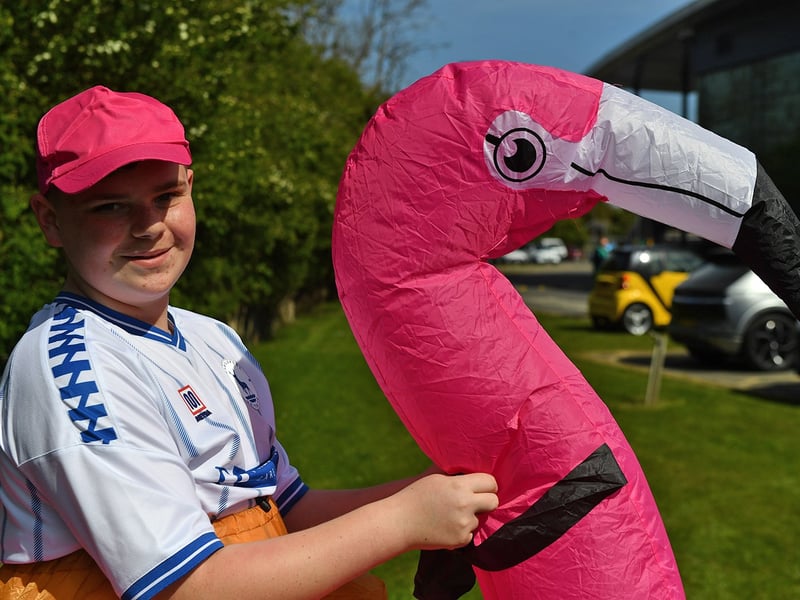This fan took his pink flamingo to the game.