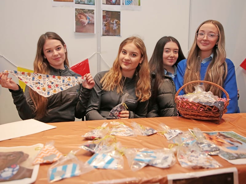 Caption: Bandoggos - Evelina Merkelyte, Katie Coppinger, Cora Nulty and Jessica Gorman from Meán Scoil Mhuire, Longford were the winners of the Innovation Award at the County Final of the Student Enterprise Programme on Tuesday, March 21 in the Longford Arms Hotel Picture: Shelley Corcoran