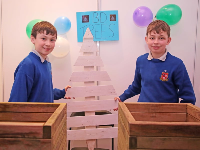 Caption: BD Trees - Ben Lynch and Daniel Reilly from Ardscoil Phadraig, Granard were Runners Up in the Junior Category at the County Final of the Student Enterprise Programme on Tuesday, March 21 in the Longford Arms Hotel Picture: Shelley Corcoran