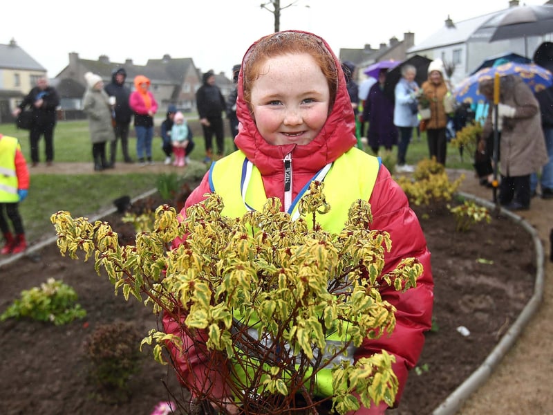 Amber Lily Lucas wasn't afraid to get her hands dirty as she helped out with the planting at the official opening and blessing of the St.Paul's Jubilee Community Memorial Garden.