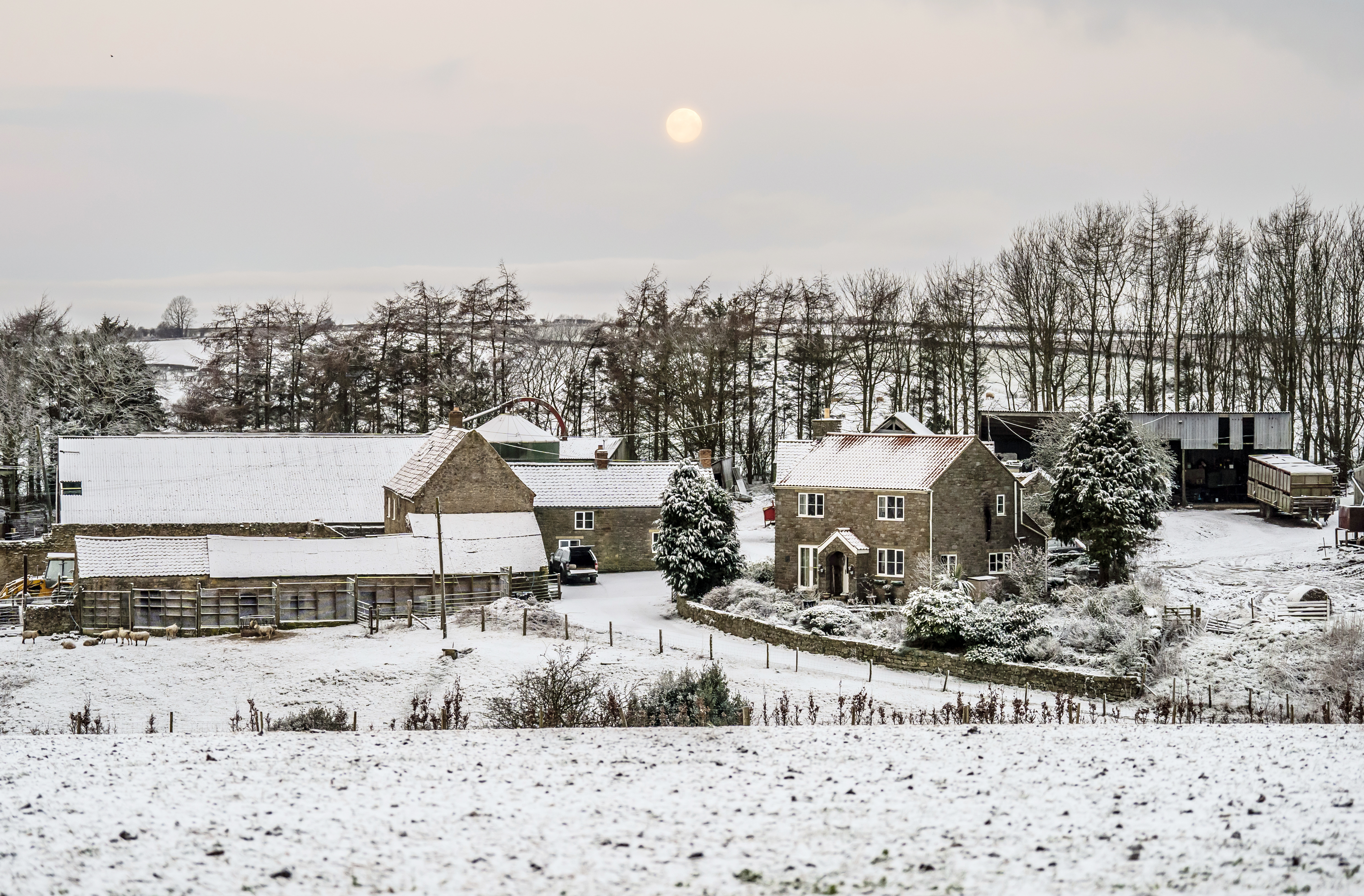 Tuesday could be the coldest night of the year so far, with temperatures set to plunge to minus 15C in some isolated Scottish glens.