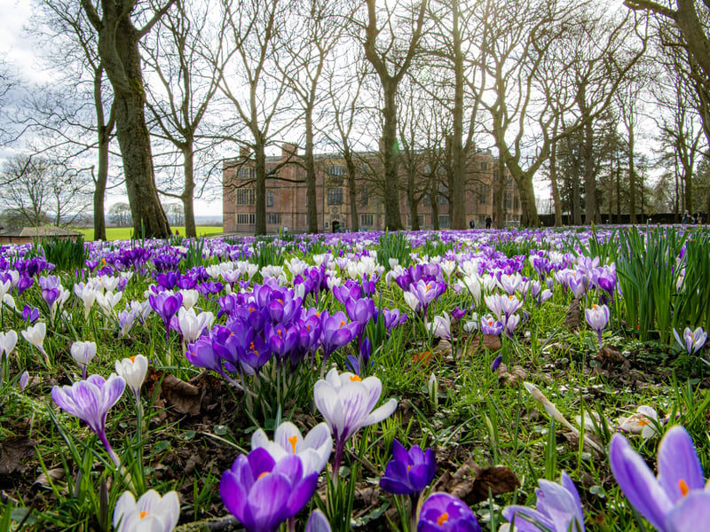 Tudor-Jacobean house Temple Newsam is a tourist favourite within Leeds. The walking grounds outside are free to explore and can transport you back to a different time.