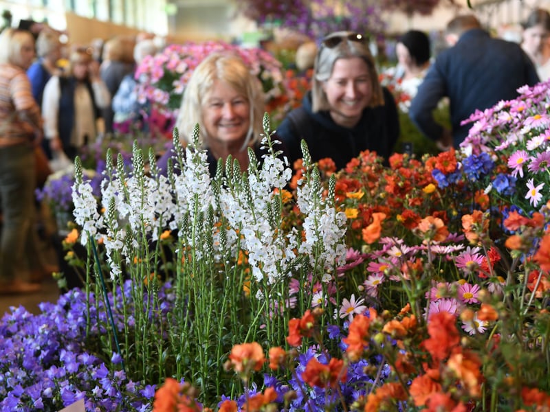 Visitors view the blooms on display  in the Grand Floral Hall.