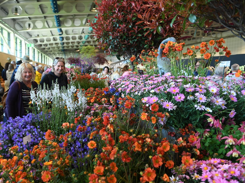 Visitors view the blooms on display  in the Grand Floral Hall.