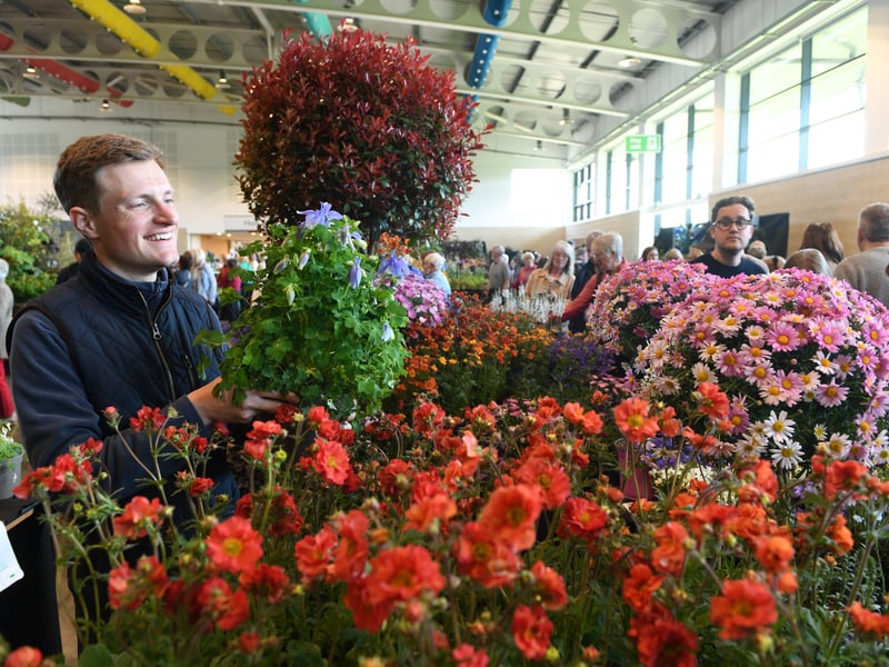 Greg Anderton of Leafy Lytham on his stall in the Grand Floral Hall.