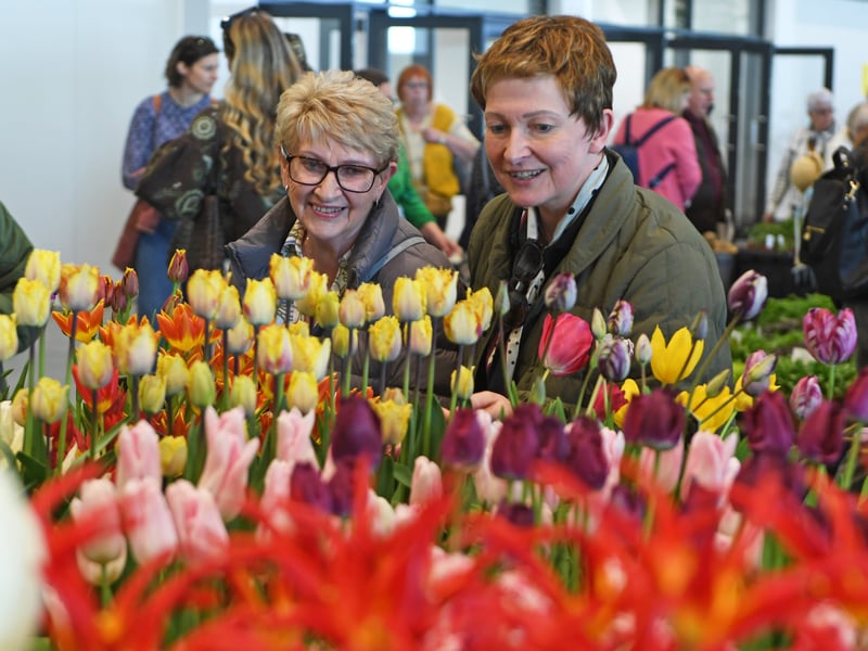 Visitors view some of the blooms on display in the Grand Floral Hall.